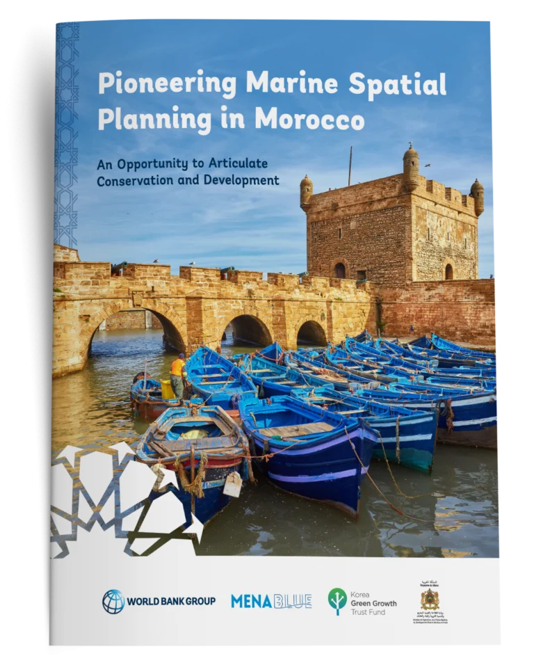 Pioneering Marine Spatial Planning in Morocco Cover Design Mockup