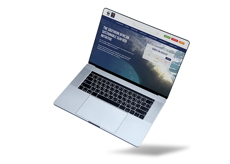 SASSI Website mockup template 3
