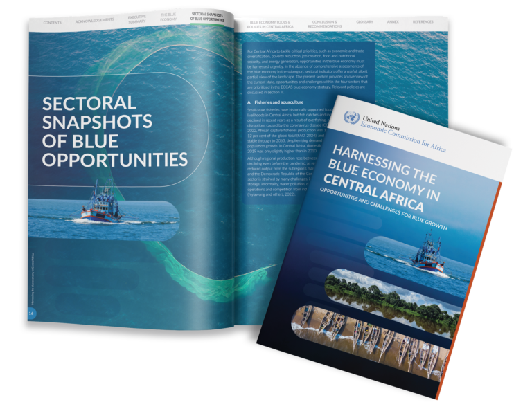 United Nationd UNECA Central Africa Blue Growth Report Mock up cover design